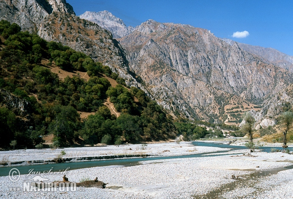 Tajikistan