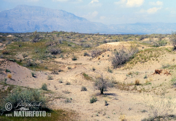 Tajikistan