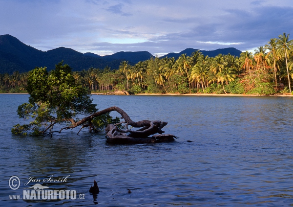 Tayland