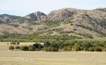 رومانی