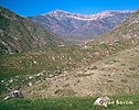 Aktau mountains