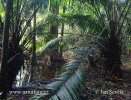 Chagres, National Park