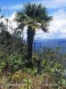 Chagres, National Park