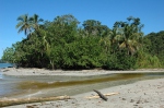 Coast of the Caribean