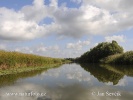 Danube Delta