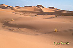 Erg Chebbi, desert