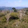 Escambray mountains