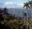 Escambray mountains