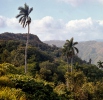 Escambray mountains