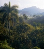 Escambray mountains