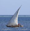 Fisherman on katamaran