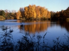 Fishpond Žofinka