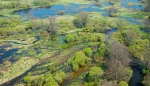 Floodplain Lužnice river