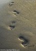 Footprints in sand