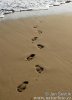 Footprints in sand