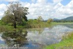 Freshwater lake at Giritale Village