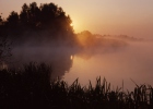 Horusický Fishpond