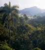 Kúba