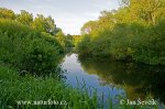 Lužnice River