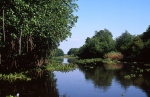 Monterrico Nature reserve