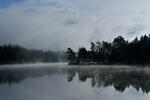 Morning fog on the pond