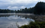 Morning fog on the pond