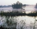 Morning on the fishpond