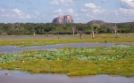 National Park Yala
