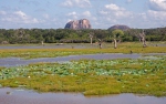National Park Yala