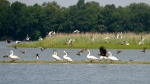 Nature reserve Velký Tisý