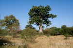 Nature rezerve Bandia
