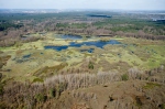 Novořecké swamps, Nature reserve