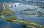 Novořecké swamps, Nature reserve