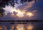 Orinoco River Delta