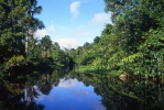 Orinoco River Delta