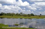 Orinoco River Delta