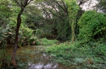 Palo Verde National Park