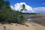 Peninsula de Paria coast