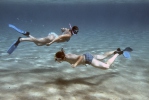 Snorchelling