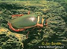 Tiger Water Beetle