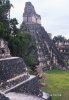 Tikal mayan ruins