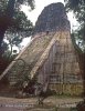 Tikal mayan ruins