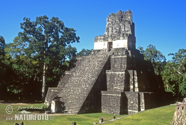 Tikal mayan ruins (GCA)