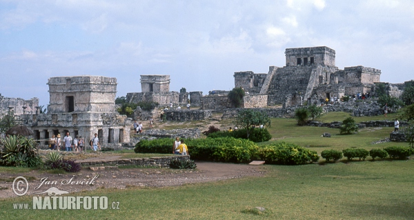 Tulum mayan ruins (MEX)