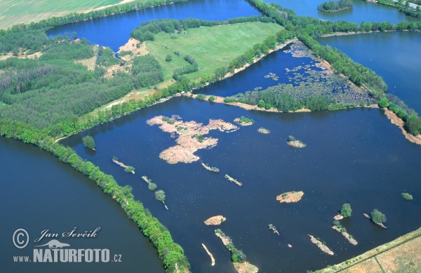 Vrbenské fishponds (AIR)