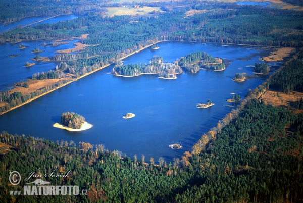 Zenich Fishpond (AIR)