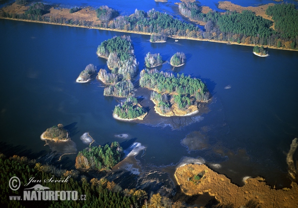 Zenich Fishpond (AIR)