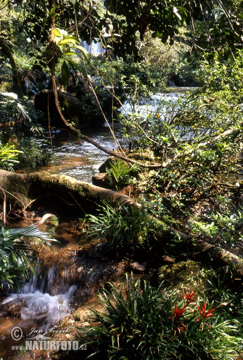 மெக்சிக்கோ