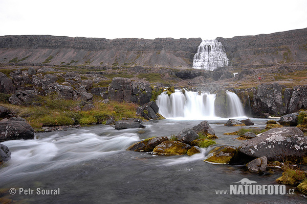 Իսլանդիա