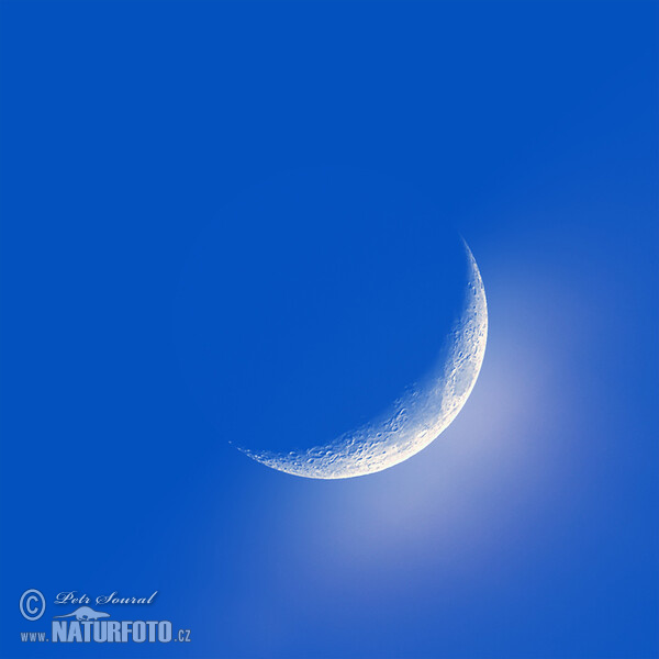 Crescent Moon (Luna)